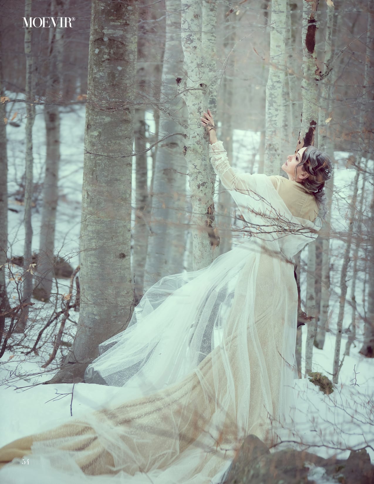 The Silence of Resilience 07