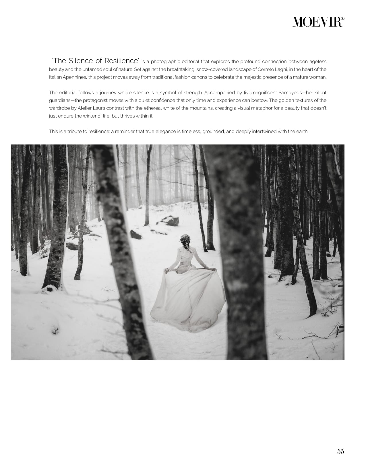The Silence of Resilience 08