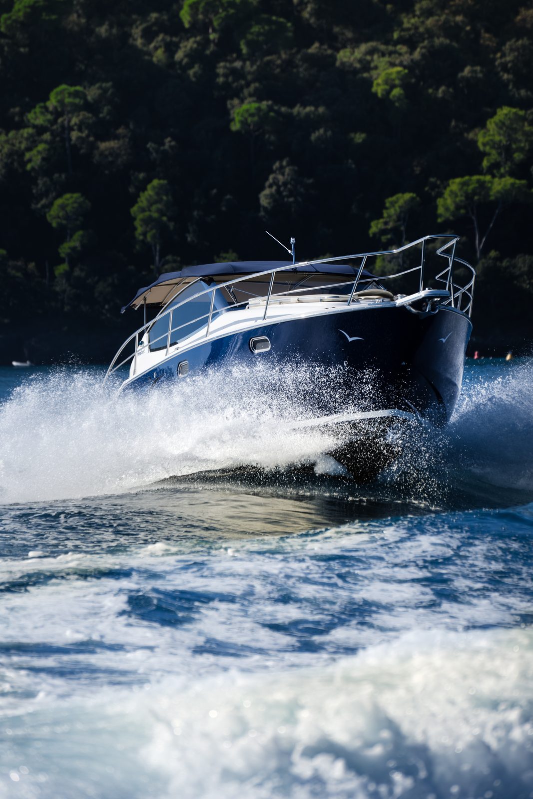 Nautica 10